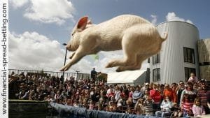 Hog Futures