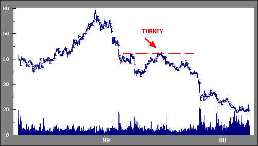 Turkey Shoot Setup