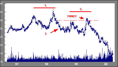 Turkey Example