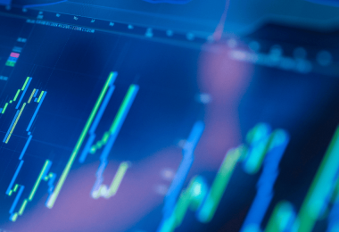 Surviving the Markets