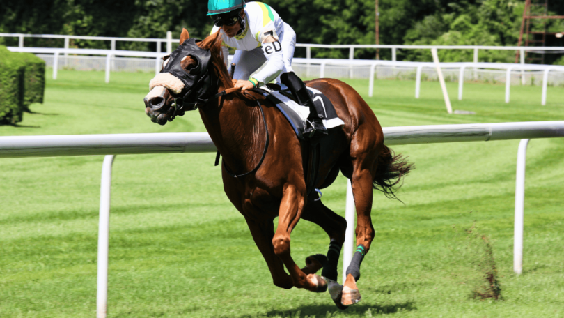 Horse Racing