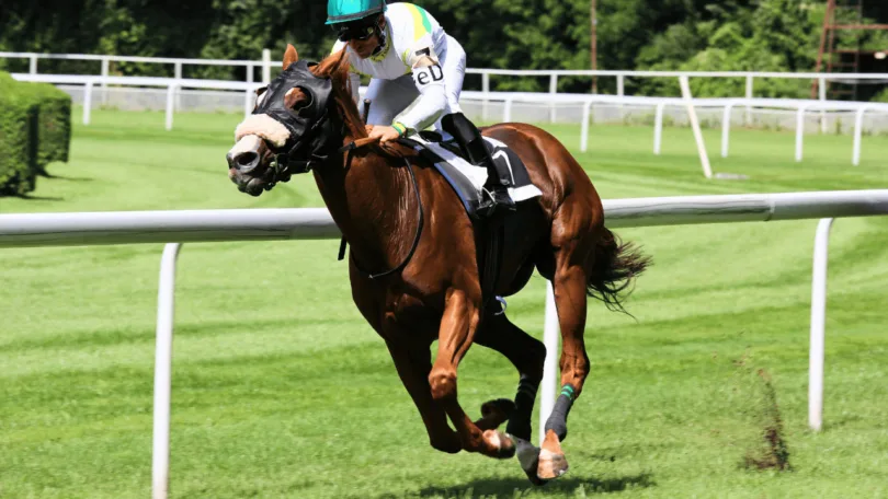 Horse Racing
