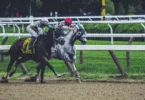 Horse Racing Bets