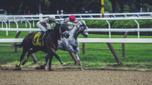 Horse Racing Bets