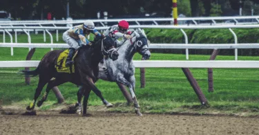 Horse Racing Bets