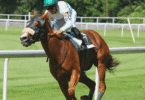 Horse Racing