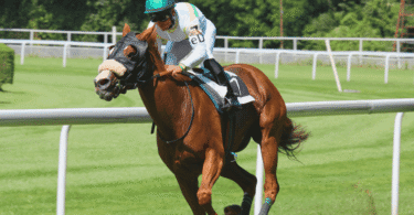 Horse Racing