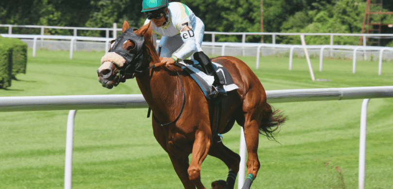 Horse Racing