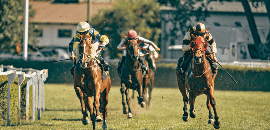 Horse Bets Racing