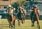 Horse Bets Racing