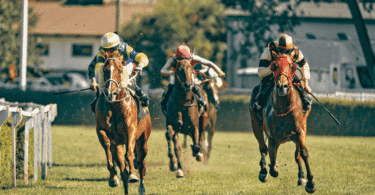 Horse Bets Racing