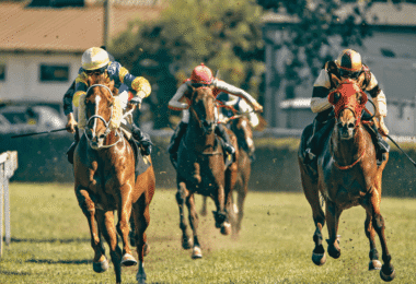 Horse Bets Racing