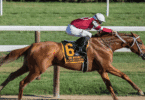 Horse Racing Betting