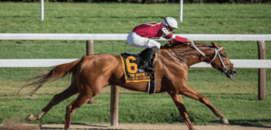 Horse Racing Betting