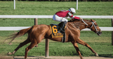 Horse Racing Betting