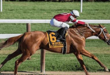 Horse Racing Betting