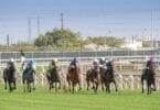 Handicap Picks