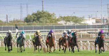Handicap Picks
