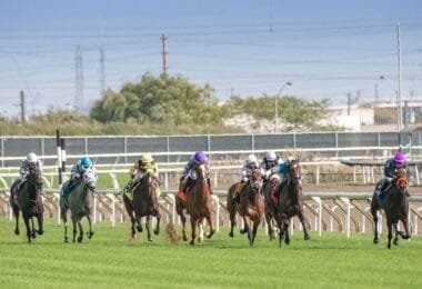 Handicap Picks