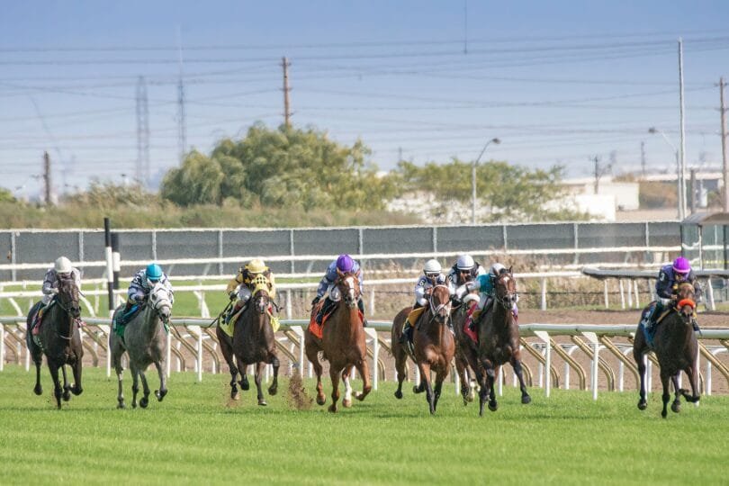 Handicap Picks
